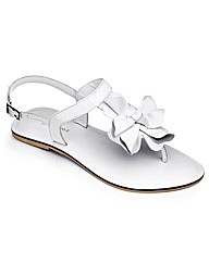 Emotion Flower Toepost Sandals E Fit