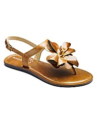 Emotion Flower Toepost Sandals EEE Fit