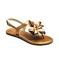Emotion Flower Toepost Sandals EEE Fit
