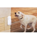 Bark Buster