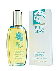 Blue Grass by Elizabeth Arden