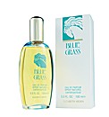 Blue Grass by Elizabeth Arden