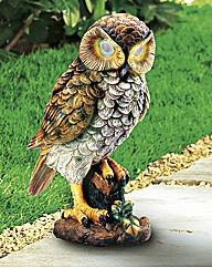 Hooting Owl