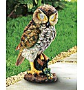 Hooting Owl