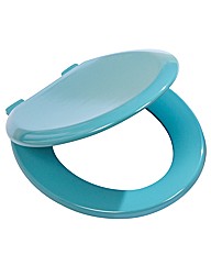 Coloured Toilet Seat