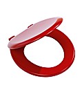 Coloured Toilet Seat