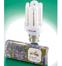 Vapalight Bulbs Refill Pods Pack 8
