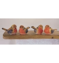 British Birds Collection