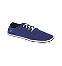 Timberland Casual Shoes