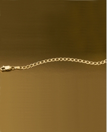 9 Carat Gold Curb Chain