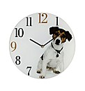 Pampered Pet Glass Wall Clock