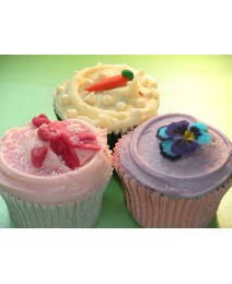 The Cupcake Experience
