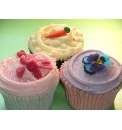 The Cupcake Experience