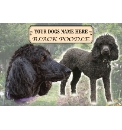 Personalised Pet Jigsaw