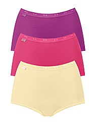 Triumph Sloggi Pk3 Basic Maxi Briefs