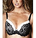 Splendour Padded Plunge Bra