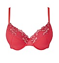 Simply Yours Embroidered Plunge Bra