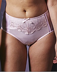 Shapely Figures Full Coverage Briefs