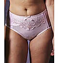 Shapely Figures Full Coverage Briefs