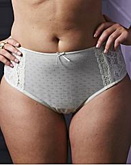 Shapely Figures Full Coverage Briefs