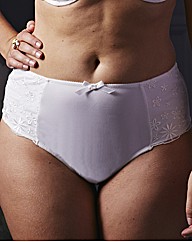 Shapely Figures Full Coverage Briefs