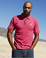 Jacamo Embroidered Polo Shirt Regular