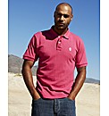 Jacamo Embroidered Polo Shirt Regular