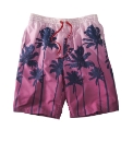 Jacamo Beach Print Swim Shorts
