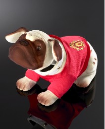 Football Club Nodding Dog