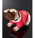 Football Club Nodding Dog