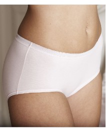 Naturally Close Pack of 4 Control Briefs