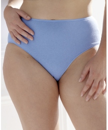 Shapely Figures Pack of 4 Briefs