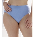 Shapely Figures Pack of 4 Briefs