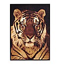 Animal Image Rug