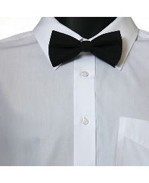 Bow Tie