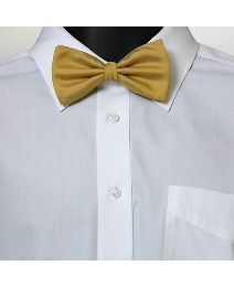 Bow Tie