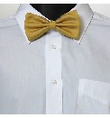 Bow Tie