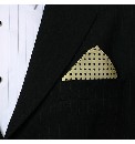 Polka Dot Handkerchief