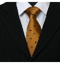 Sorrento Woven Paisley Tie