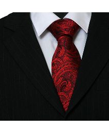 Knightsbridge Woven Paisley Tie