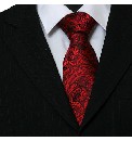 Knightsbridge Woven Paisley Tie