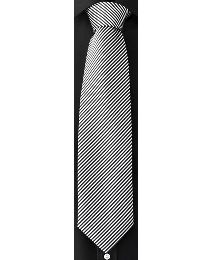 Jacamo Pack Of 2 Ties