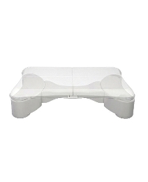 Wii Fit Step