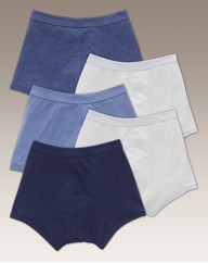 Premier Man Pack of 5 Hipster Briefs