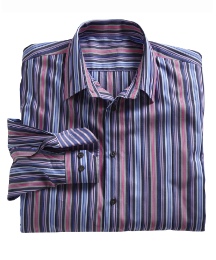Douglas Contour Fit Stripe Shirt