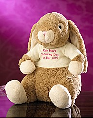 Personalised Bunny & Emboidered Sweater