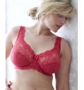 Shapely Figures Pack of 2 Lace Bras