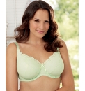 Shapely Figures Pack of 2 Bras