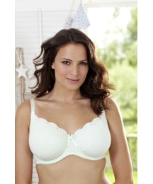 Shapely Figures Pack of 2 Bras