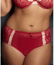 Shapely Figures Briefs